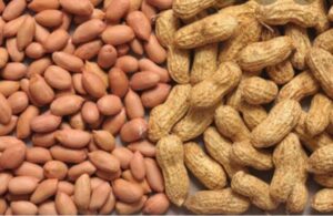Just 2 months Gov't purchase D300m worth groundnuts
