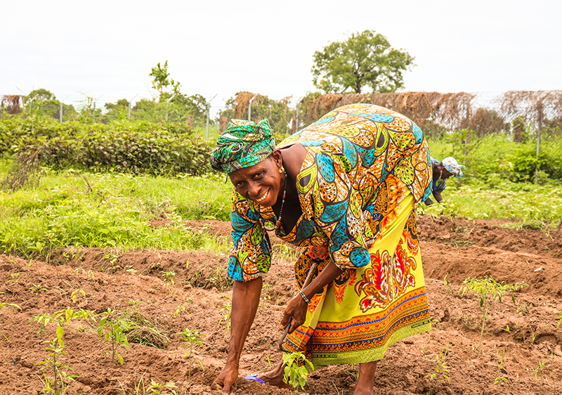 Empowering Gambian women in the horticultural sector