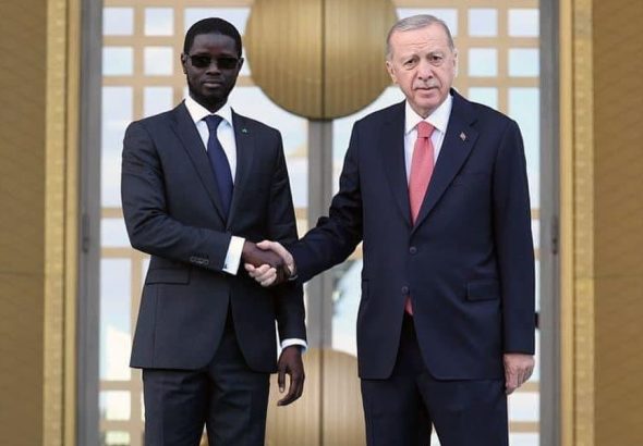 turkiye senegal