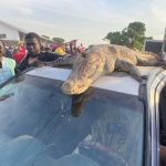 FB_IMG_1763325433537