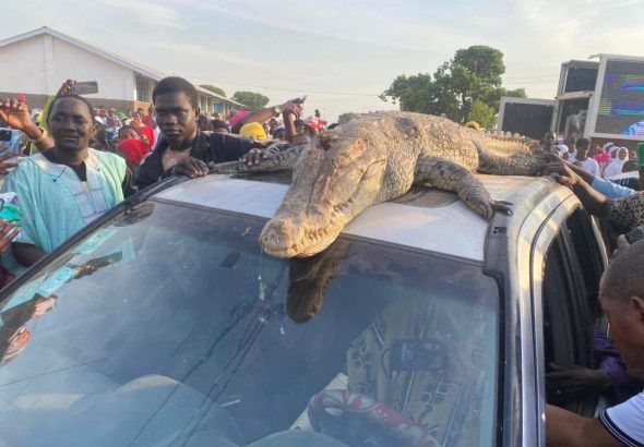 FB_IMG_1763325433537