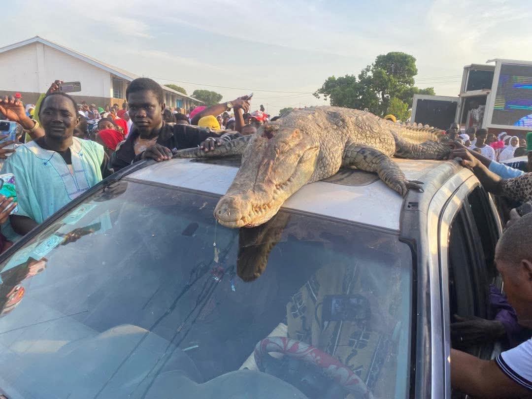 FB_IMG_1763325433537