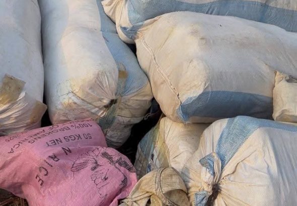 FB_IMG_1770047379257