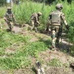 FB_IMG_1773381518752