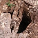 FB_IMG_1774366778827