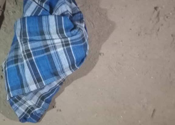 FB_IMG_1775347584031